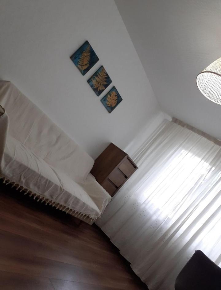 Silene Studio Craiova Exteriör bild